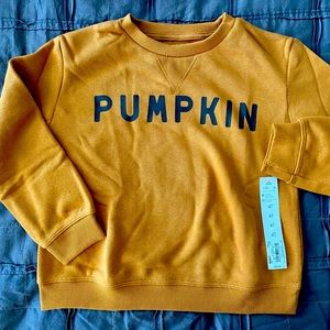 NWT Lauren Conrad Little Co. Pumpkin Sweatshirt Pullover 4T